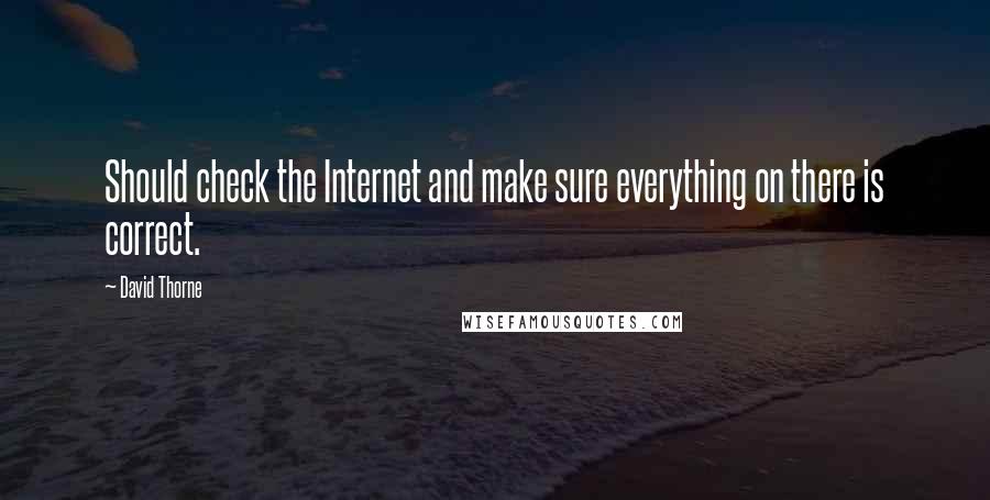 David Thorne Quotes: Should check the Internet and make sure everything on there is correct.