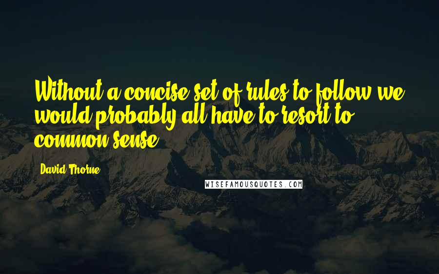 David Thorne Quotes: Without a concise set of rules to follow we would probably all have to resort to common sense.