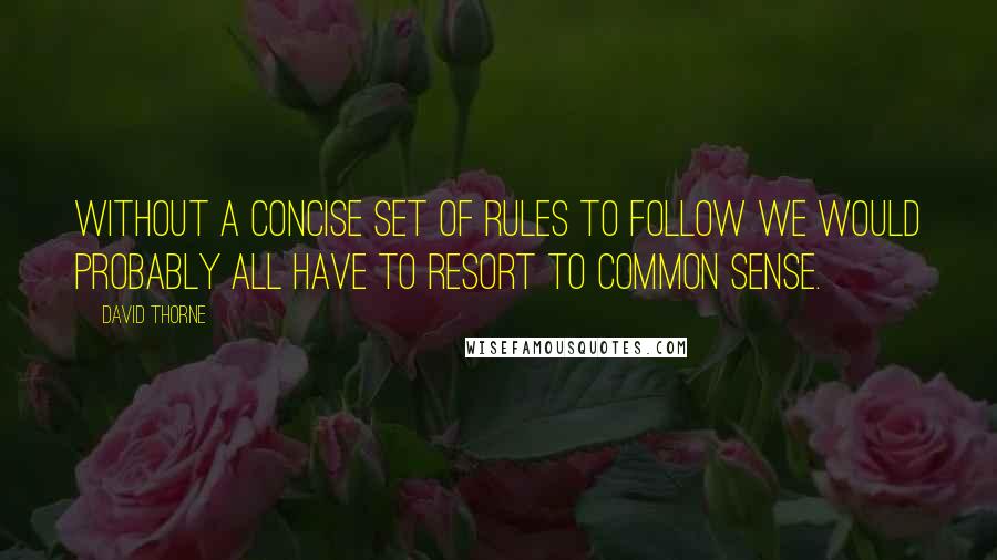 David Thorne Quotes: Without a concise set of rules to follow we would probably all have to resort to common sense.
