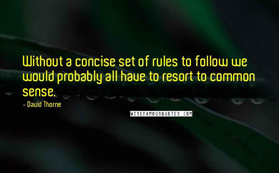 David Thorne Quotes: Without a concise set of rules to follow we would probably all have to resort to common sense.