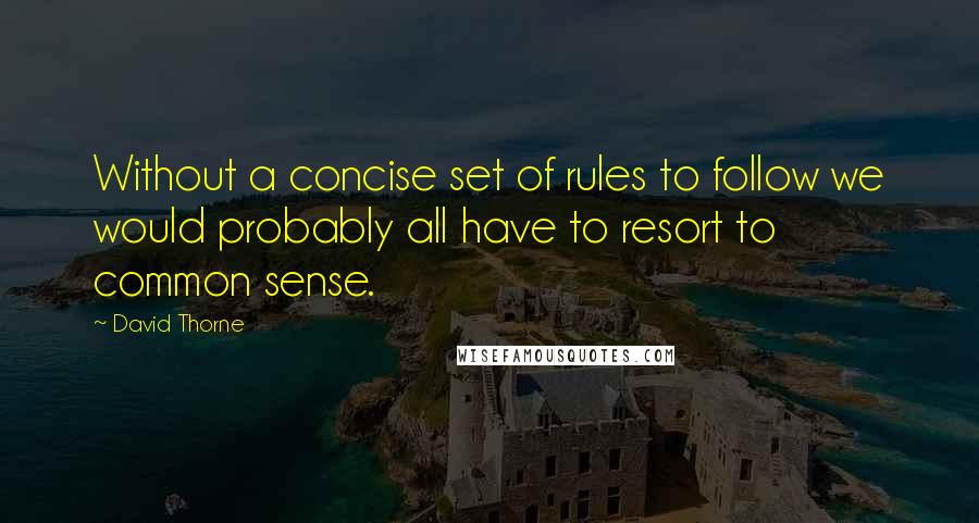 David Thorne Quotes: Without a concise set of rules to follow we would probably all have to resort to common sense.