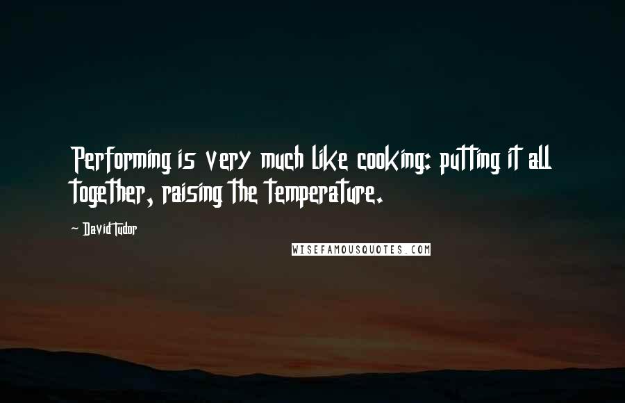David Tudor Quotes: Performing is very much like cooking: putting it all together, raising the temperature.