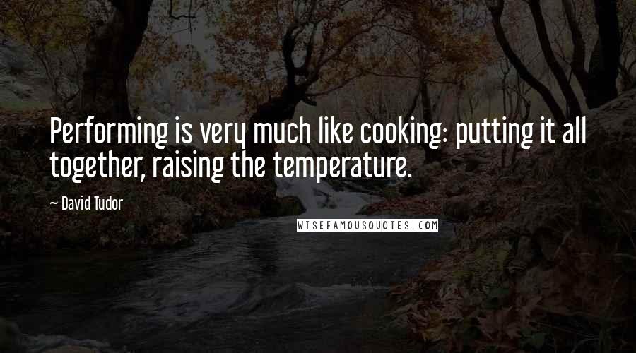 David Tudor Quotes: Performing is very much like cooking: putting it all together, raising the temperature.