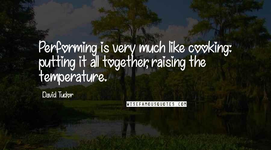 David Tudor Quotes: Performing is very much like cooking: putting it all together, raising the temperature.