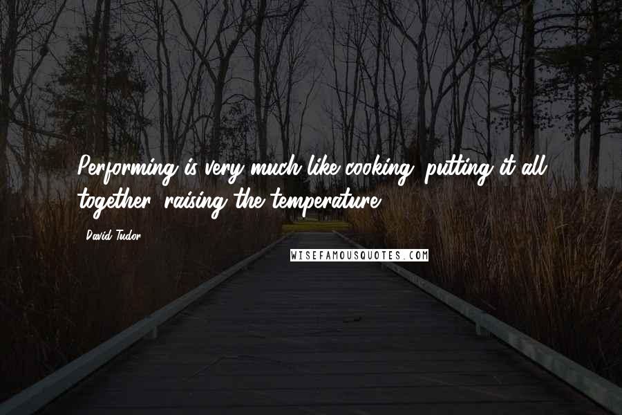 David Tudor Quotes: Performing is very much like cooking: putting it all together, raising the temperature.