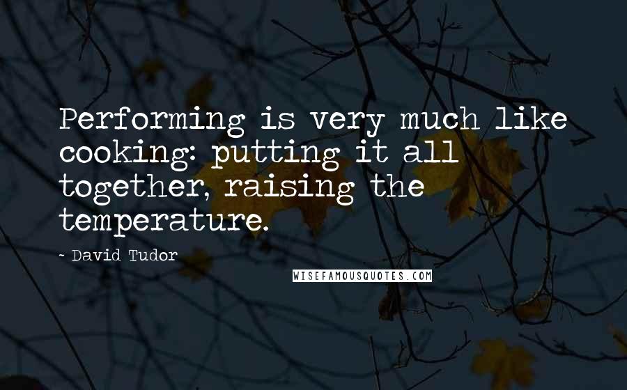David Tudor Quotes: Performing is very much like cooking: putting it all together, raising the temperature.