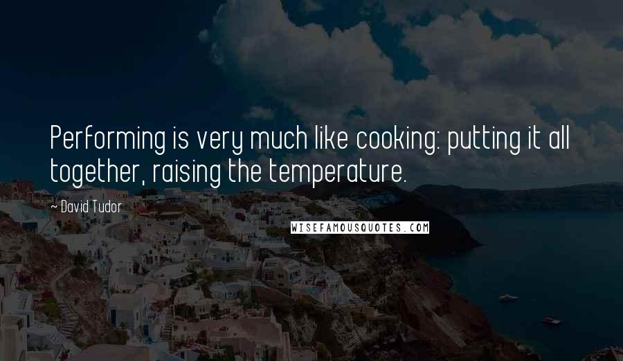David Tudor Quotes: Performing is very much like cooking: putting it all together, raising the temperature.