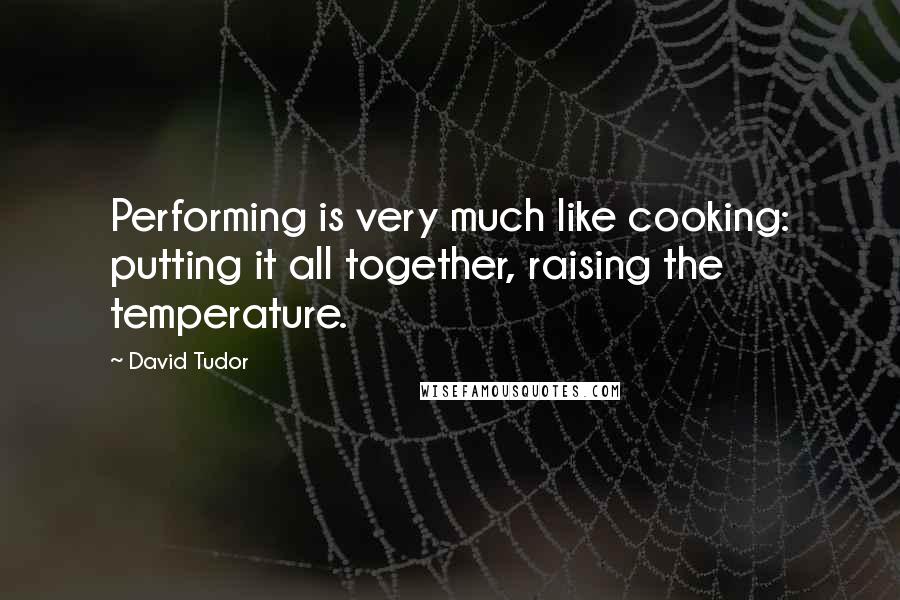 David Tudor Quotes: Performing is very much like cooking: putting it all together, raising the temperature.
