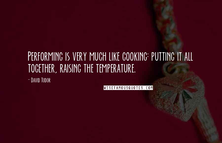 David Tudor Quotes: Performing is very much like cooking: putting it all together, raising the temperature.