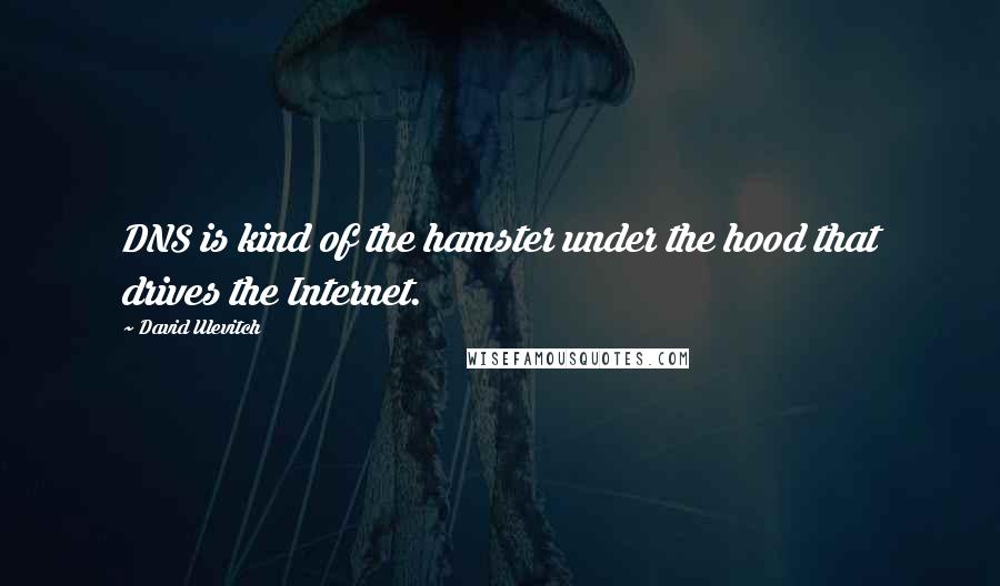 David Ulevitch Quotes: DNS is kind of the hamster under the hood that drives the Internet.