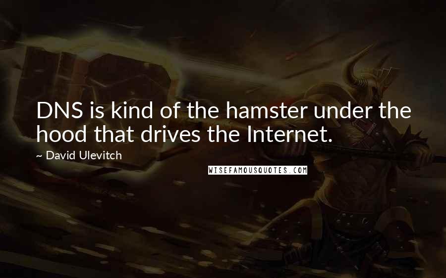 David Ulevitch Quotes: DNS is kind of the hamster under the hood that drives the Internet.