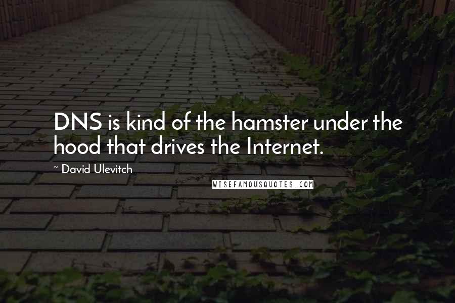 David Ulevitch Quotes: DNS is kind of the hamster under the hood that drives the Internet.