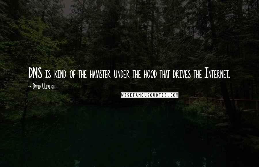 David Ulevitch Quotes: DNS is kind of the hamster under the hood that drives the Internet.