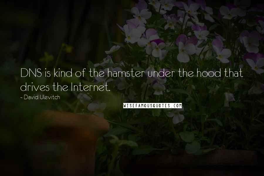 David Ulevitch Quotes: DNS is kind of the hamster under the hood that drives the Internet.