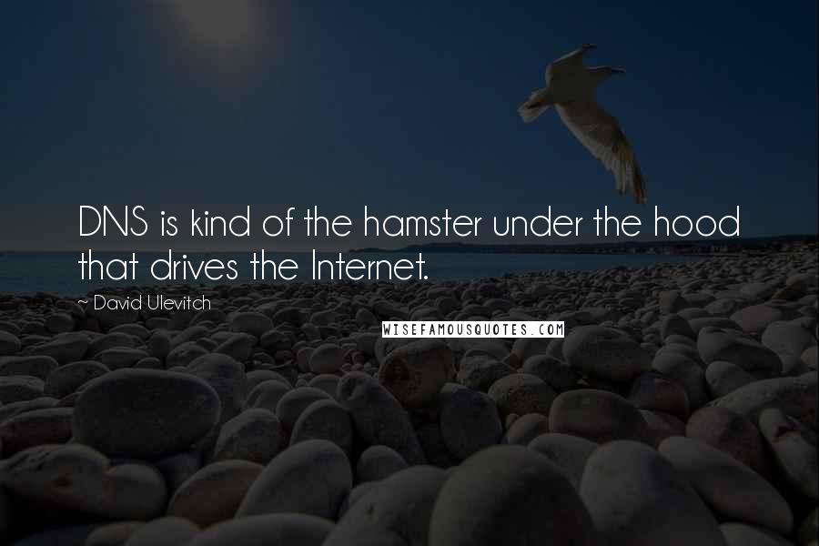David Ulevitch Quotes: DNS is kind of the hamster under the hood that drives the Internet.