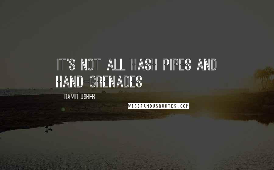 David Usher Quotes: It's not all Hash Pipes and Hand-grenades