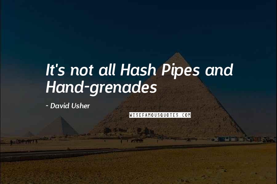 David Usher Quotes: It's not all Hash Pipes and Hand-grenades