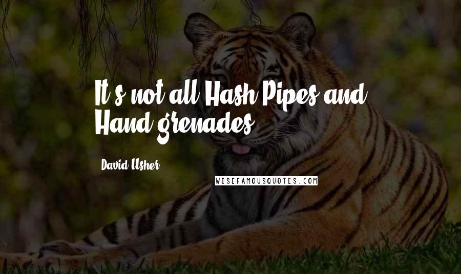 David Usher Quotes: It's not all Hash Pipes and Hand-grenades