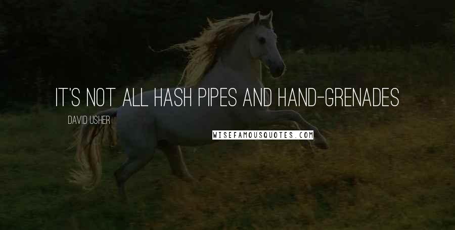 David Usher Quotes: It's not all Hash Pipes and Hand-grenades