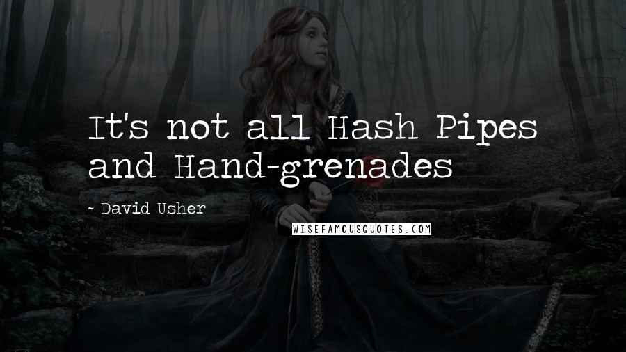 David Usher Quotes: It's not all Hash Pipes and Hand-grenades