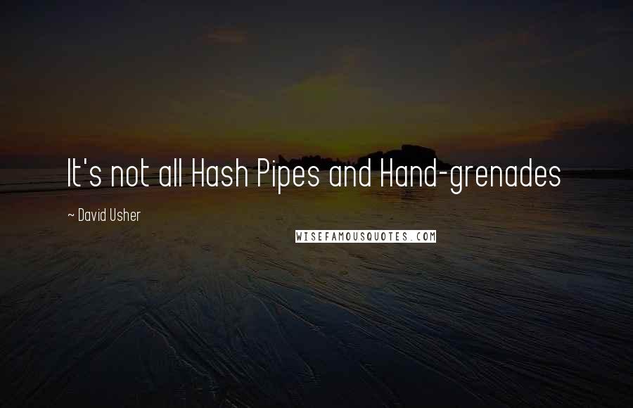 David Usher Quotes: It's not all Hash Pipes and Hand-grenades