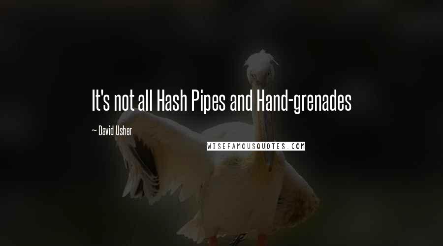 David Usher Quotes: It's not all Hash Pipes and Hand-grenades