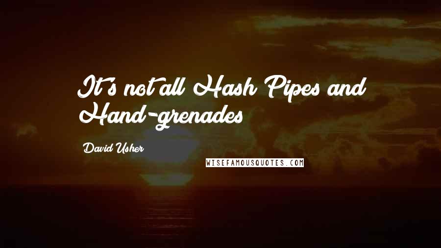 David Usher Quotes: It's not all Hash Pipes and Hand-grenades