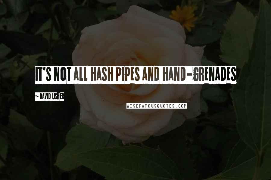 David Usher Quotes: It's not all Hash Pipes and Hand-grenades