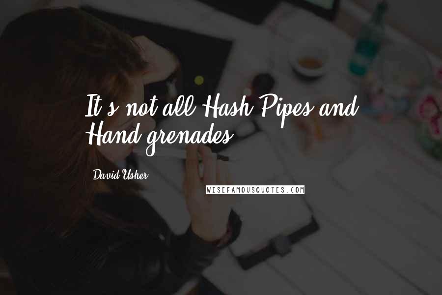 David Usher Quotes: It's not all Hash Pipes and Hand-grenades