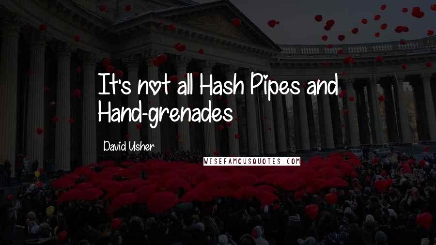 David Usher Quotes: It's not all Hash Pipes and Hand-grenades