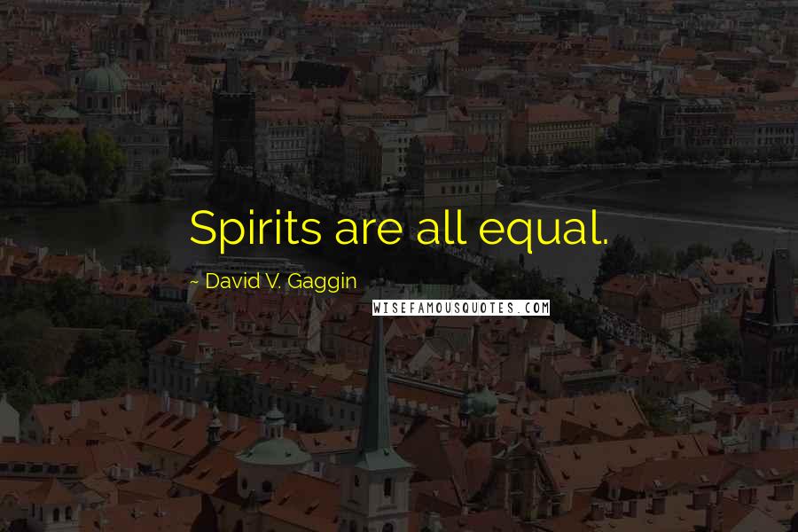 David V. Gaggin Quotes: Spirits are all equal.