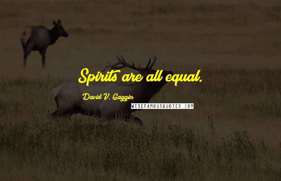 David V. Gaggin Quotes: Spirits are all equal.