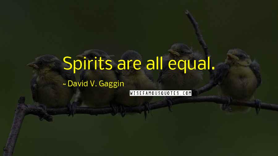 David V. Gaggin Quotes: Spirits are all equal.