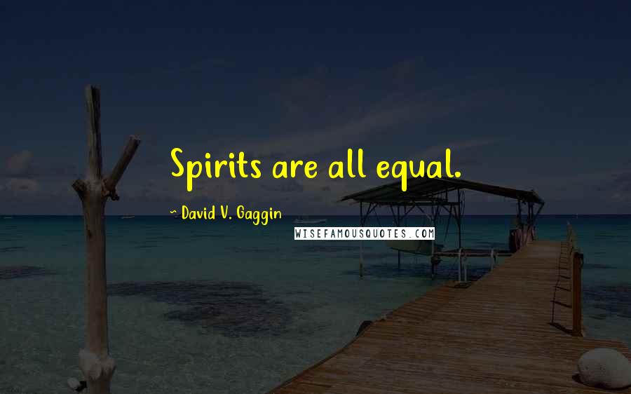 David V. Gaggin Quotes: Spirits are all equal.