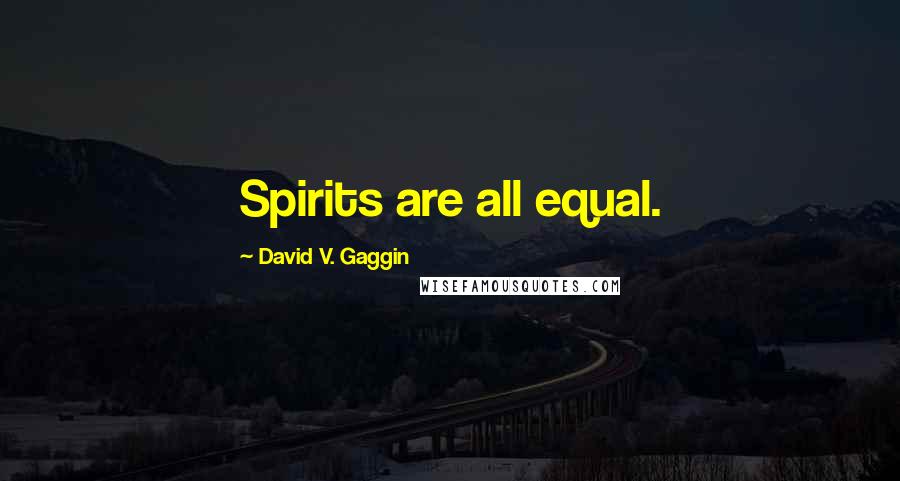 David V. Gaggin Quotes: Spirits are all equal.