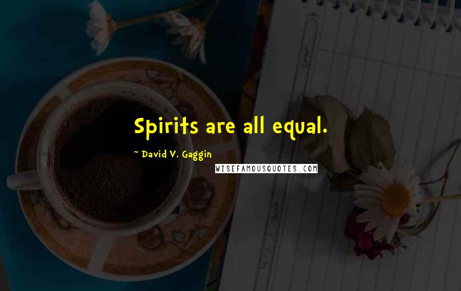 David V. Gaggin Quotes: Spirits are all equal.