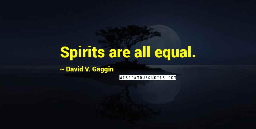 David V. Gaggin Quotes: Spirits are all equal.