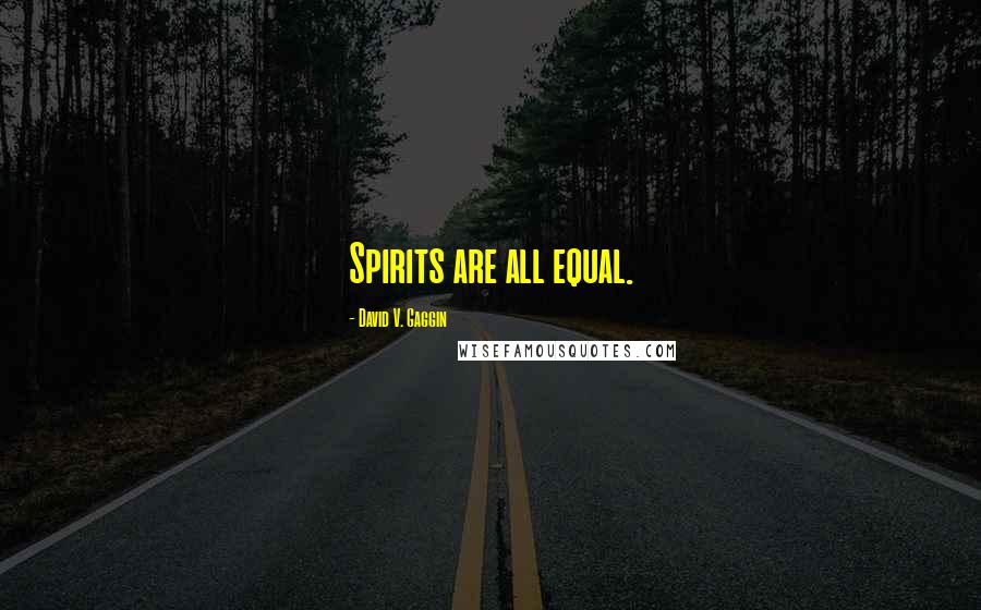 David V. Gaggin Quotes: Spirits are all equal.