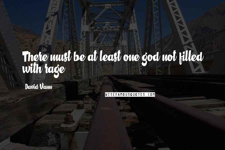 David Vann Quotes: There must be at least one god not filled with rage.