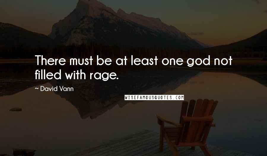 David Vann Quotes: There must be at least one god not filled with rage.