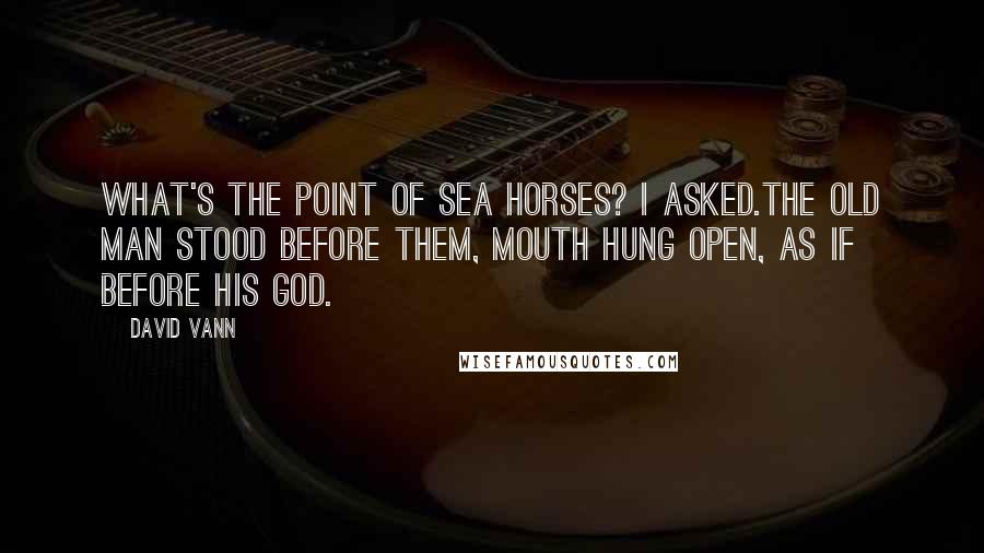 David Vann Quotes: What's the point of sea horses? I asked.The old man stood before them, mouth hung open, as if before his god.