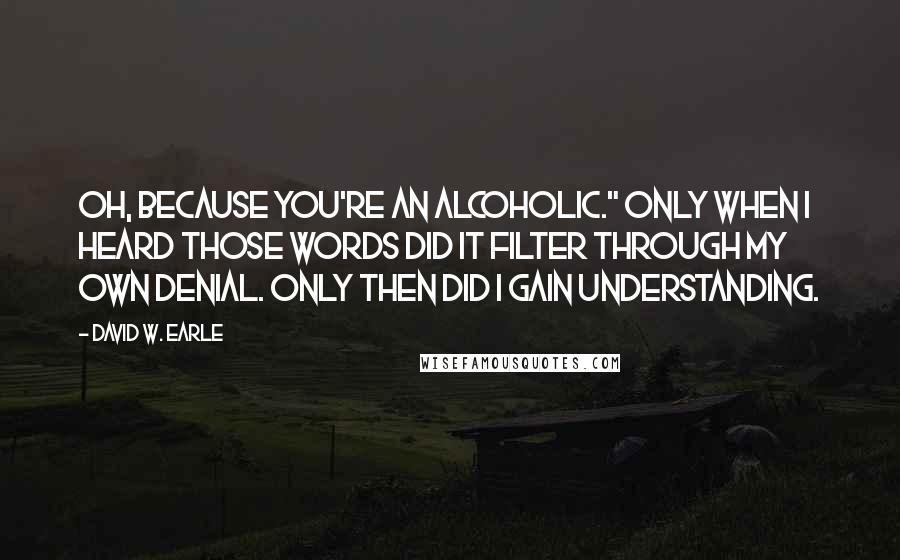 David W. Earle Quotes: Oh, because you're an alcoholic." Only when I heard those words did it filter through my own denial. Only then did I gain understanding.