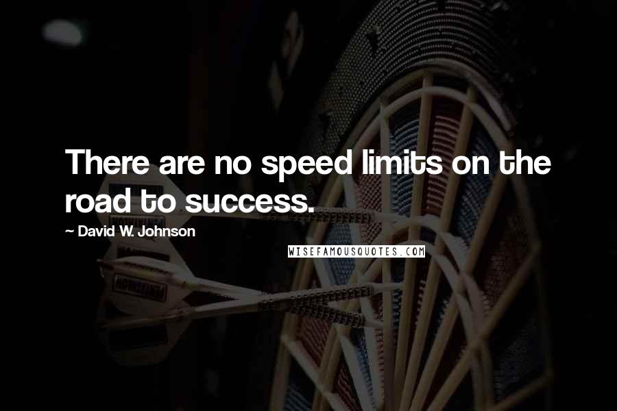 David W. Johnson Quotes: There are no speed limits on the road to success.