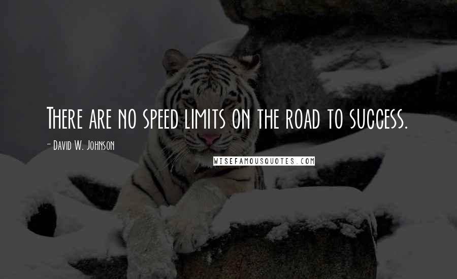 David W. Johnson Quotes: There are no speed limits on the road to success.