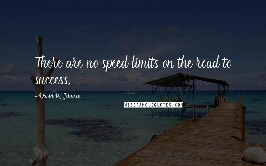 David W. Johnson Quotes: There are no speed limits on the road to success.