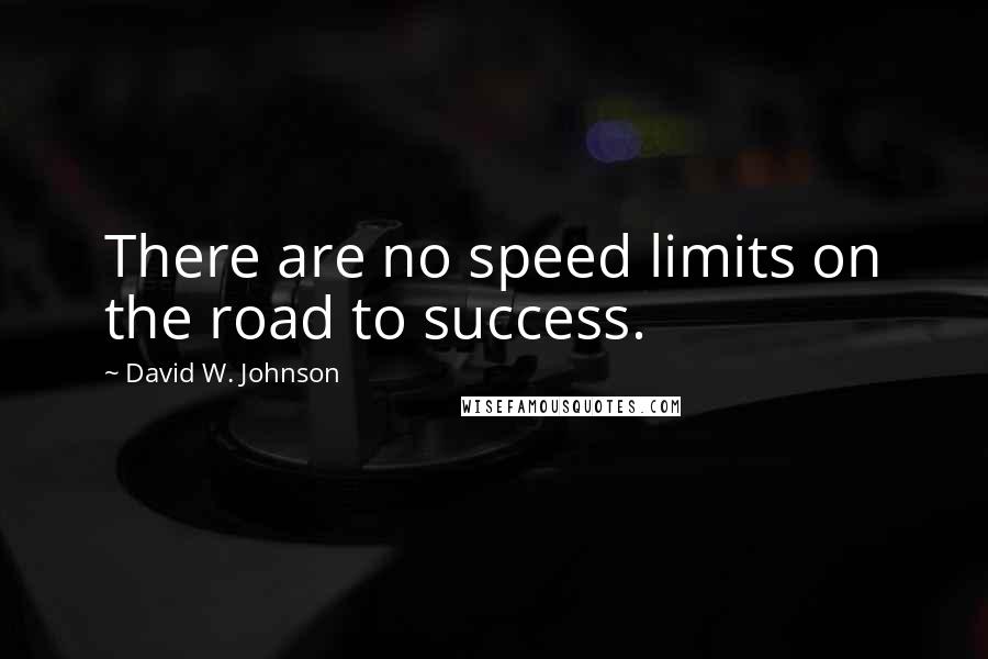 David W. Johnson Quotes: There are no speed limits on the road to success.