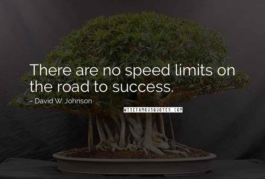 David W. Johnson Quotes: There are no speed limits on the road to success.
