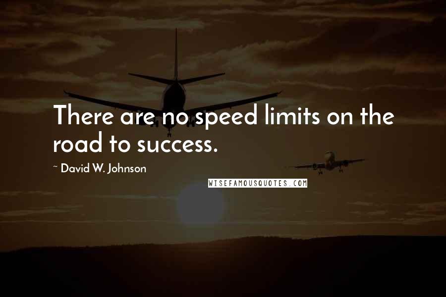 David W. Johnson Quotes: There are no speed limits on the road to success.