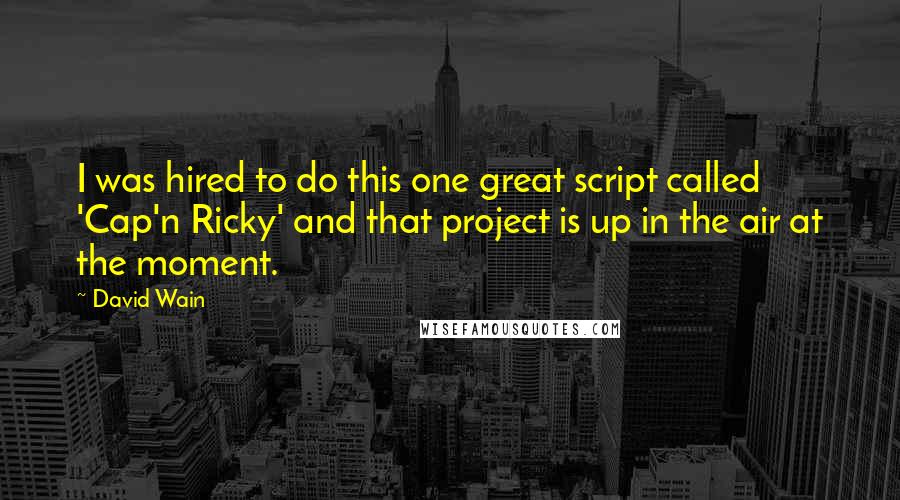David Wain Quotes: I was hired to do this one great script called 'Cap'n Ricky' and that project is up in the air at the moment.