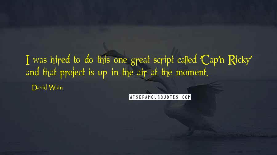 David Wain Quotes: I was hired to do this one great script called 'Cap'n Ricky' and that project is up in the air at the moment.